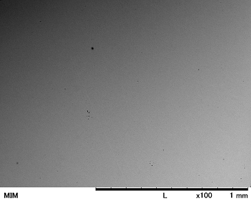 Cross Section of MIM Sintered Parts